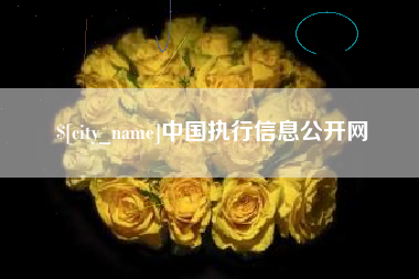 临夏中国执行信息公开网