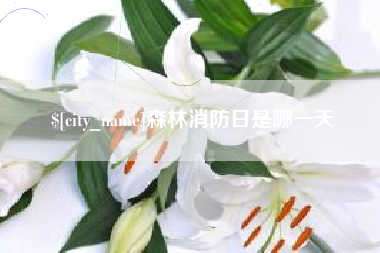 临夏森林消防日是哪一天