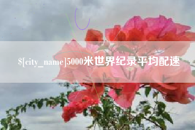 临夏5000米世界纪录平均配速