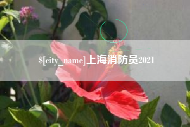 临夏上海消防员2021