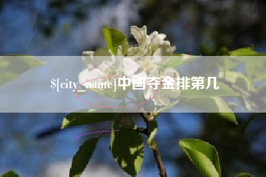 临夏中国夺金排第几