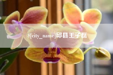 临夏邱县王子磊