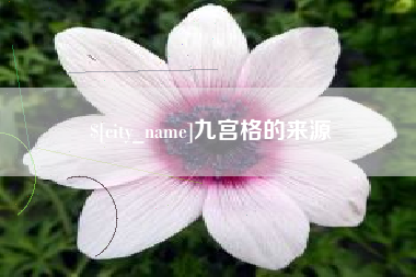 临夏九宫格的来源