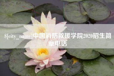 临夏中国消防救援学院2020招生简章电话