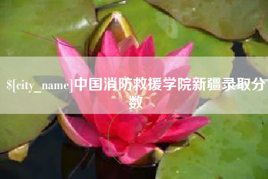 临夏中国消防救援学院新疆录取分数