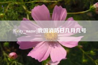 临夏我国消防日几月几号