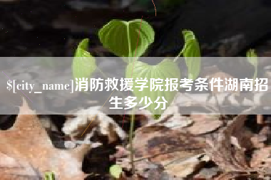 临夏消防救援学院报考条件湖南招生多少分