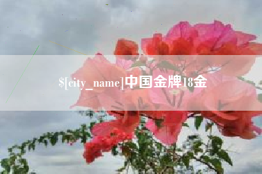 临夏中国金牌18金