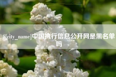 临夏中国执行信息公开网是黑名单吗