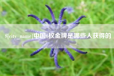 临夏中国6枚金牌是哪些人获得的