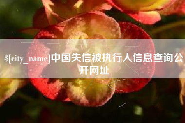 临夏中国失信被执行人信息查询公开网址