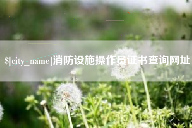 临夏消防设施操作员证书查询网址