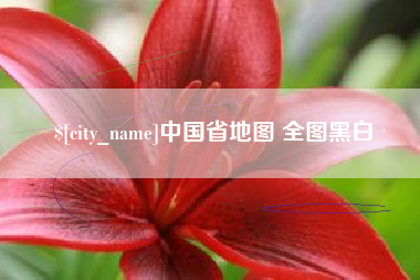 临夏中国省地图 全图黑白