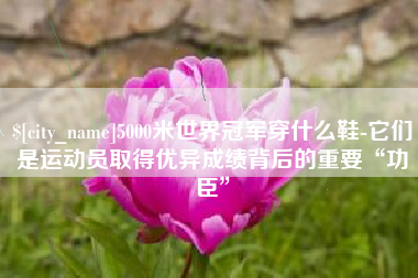 临夏5000米世界冠军穿什么鞋-它们是运动员取得优异成绩背后的重要“功臣”