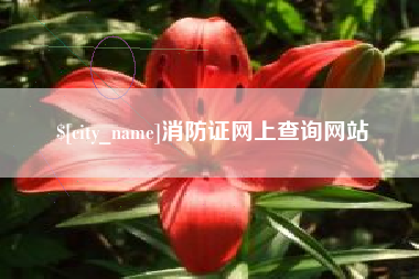 临夏消防证网上查询网站