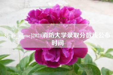 临夏2024消防大学录取分数线公布时间