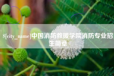 临夏中国消防救援学院消防专业招生简章