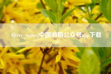 临夏中国消防公众号app下载