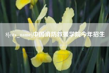临夏中国消防救援学院今年招生
