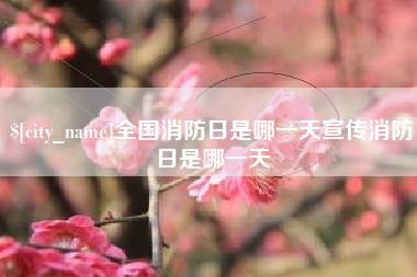 临夏全国消防日是哪一天宣传消防日是哪一天