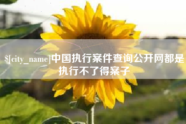 临夏中国执行案件查询公开网都是执行不了得案子