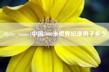临夏中国5000米世界纪录男子多少