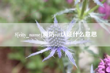 临夏消防ccc认证什么意思