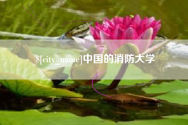 临夏中国的消防大学