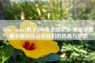 临夏男子5000米全国记录-更是承载着中国田径运动员们的热血与梦想