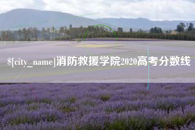 临夏消防救援学院2020高考分数线