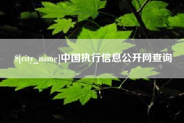 临夏中国执行信息公开网查询