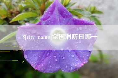 临夏全国消防日哪一
