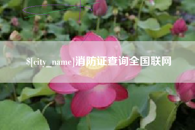 临夏消防证查询全国联网