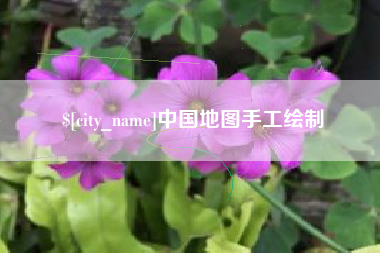 临夏中国地图手工绘制