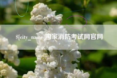 临夏国家消防考试网官网