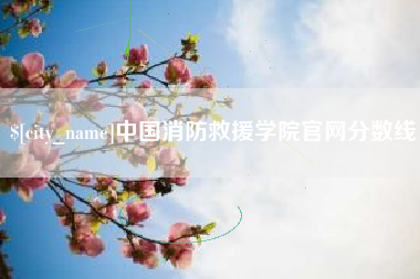 临夏中国消防救援学院官网分数线