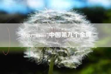 临夏中国第九个金牌
