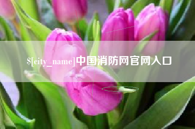 临夏中国消防网官网入口