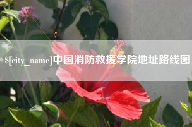 临夏中国消防救援学院地址路线图