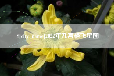 临夏2022年九宫格飞星图