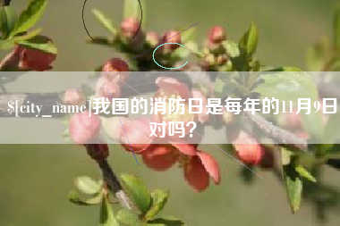 临夏我国的消防日是每年的11月9日对吗？