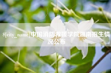 临夏中国消防救援学院湖南招生情况公布