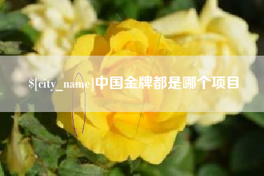 临夏中国金牌都是哪个项目
