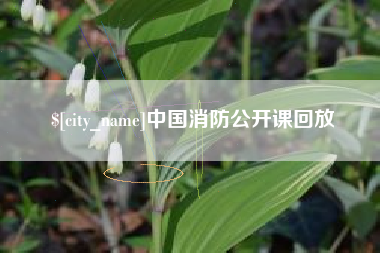 临夏中国消防公开课回放