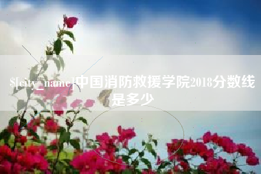 临夏中国消防救援学院2018分数线是多少