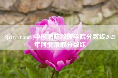 临夏中国消防救援学院分数线2023年河北录取分数线