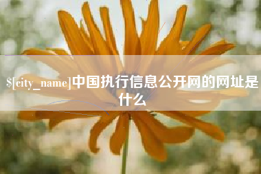 临夏中国执行信息公开网的网址是什么