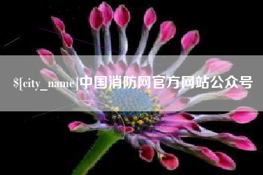 临夏中国消防网官方网站公众号
