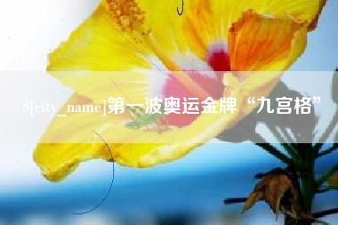 临夏第一波奥运金牌“九宫格”