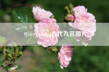临夏古代九宫图片